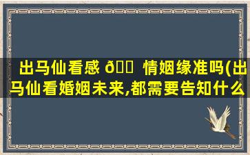 出马仙看感 🐠 情姻缘准吗(出马仙看婚姻未来,都需要告知什么)